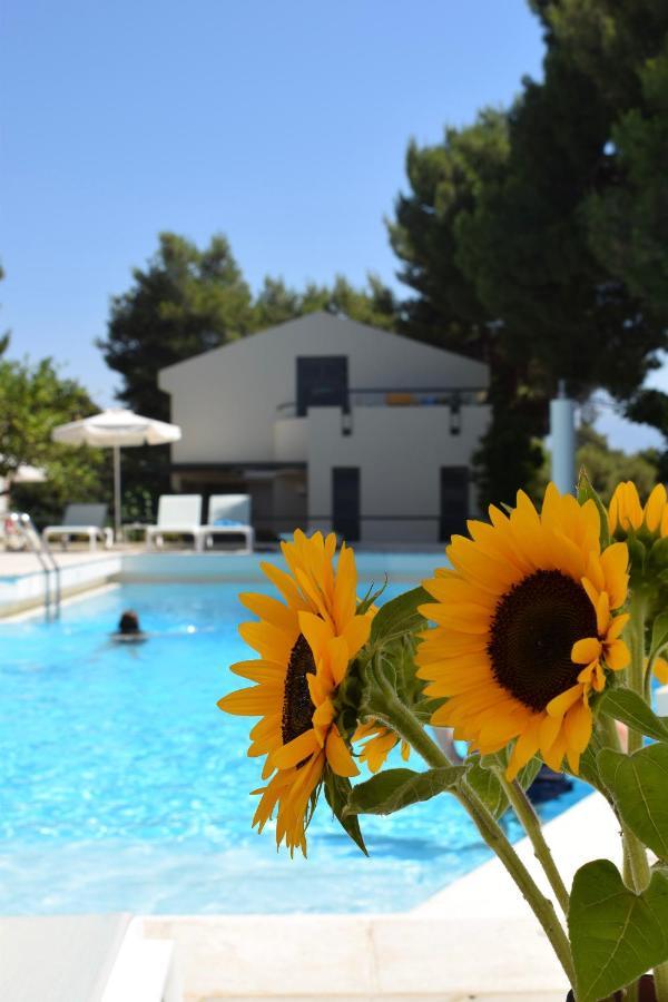 Villa Pefki Chania  Bagian luar foto